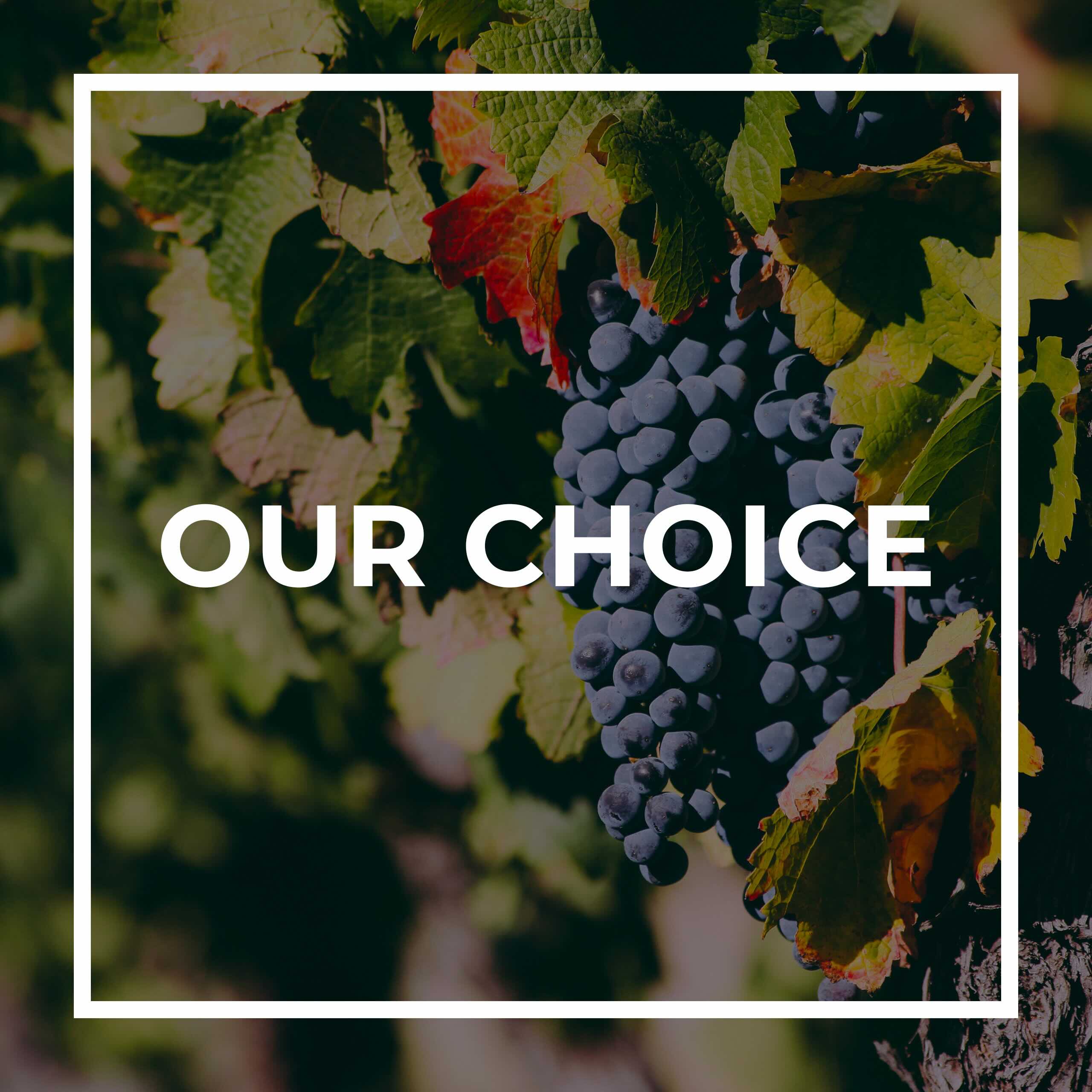 La scelta del vignaiolo